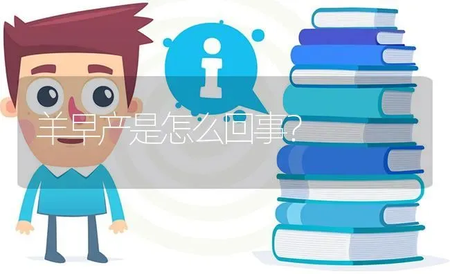 羊早产是怎么回事? | 养殖问题解答