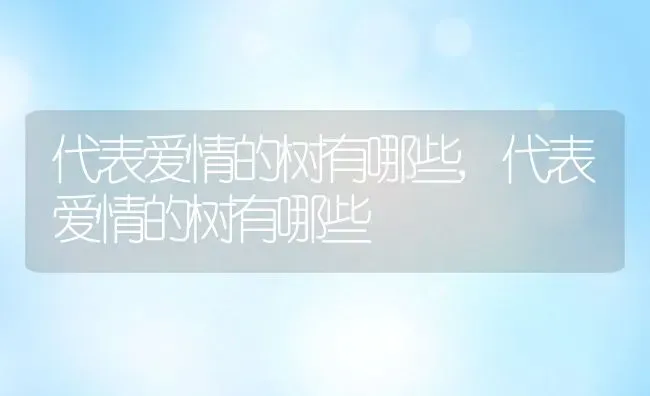 代表爱情的树有哪些,代表爱情的树有哪些 | 养殖常见问题