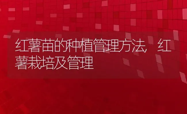 关羽真实身高1.58米,关羽真实身高1.58米 | 养殖常见问题