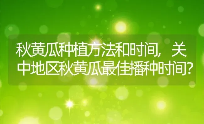 秋黄瓜种植方法和时间,关中地区秋黄瓜最佳播种时间？ | 养殖常见问题