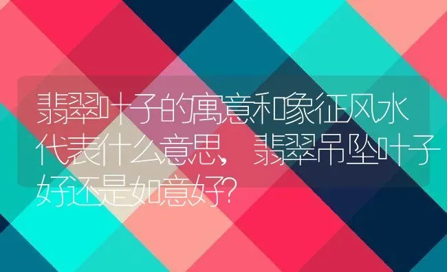 翡翠叶子的寓意和象征风水代表什么意思,翡翠吊坠叶子好还是如意好？ | 养殖常见问题