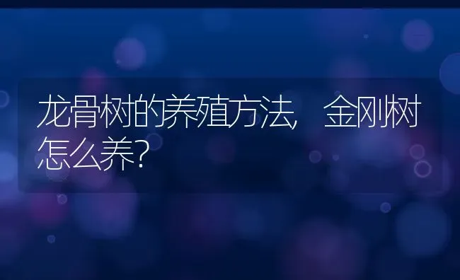 龙骨树的养殖方法,金刚树怎么养？ | 养殖常见问题