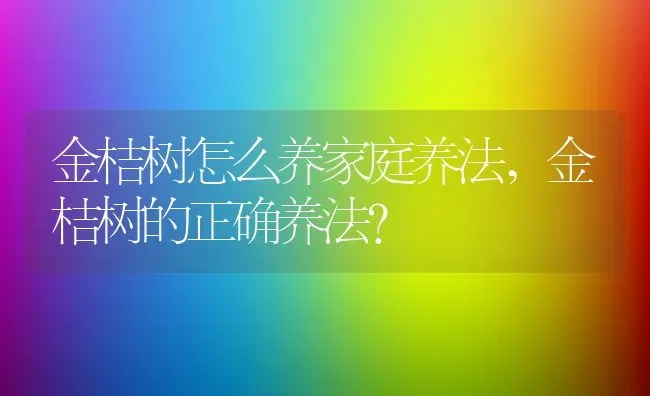 金桔树怎么养家庭养法,金桔树的正确养法？ | 养殖常见问题