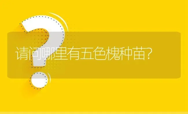 请问哪里有五色槐种苗? | 养殖问题解答