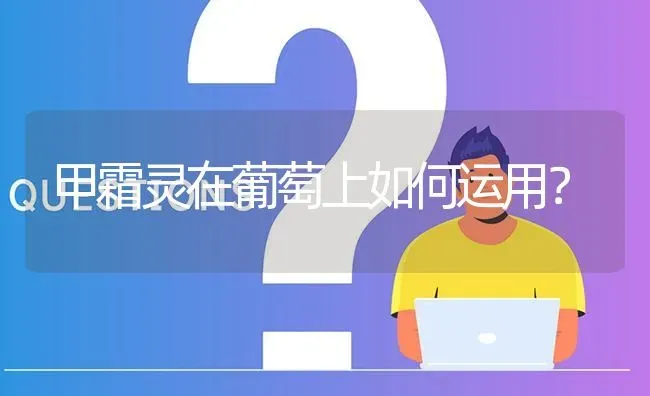 甲霜灵在葡萄上如何运用? | 养殖问题解答