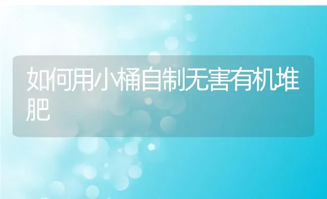 如何用小桶自制无害有机堆肥 | 养殖常见问题