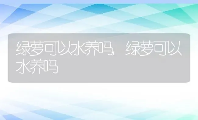 绿萝可以水养吗,绿萝可以水养吗 | 养殖常见问题