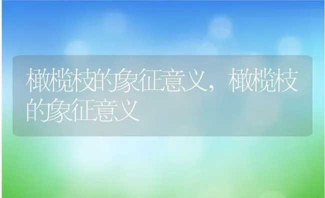 橄榄枝的象征意义,橄榄枝的象征意义 | 养殖常见问题