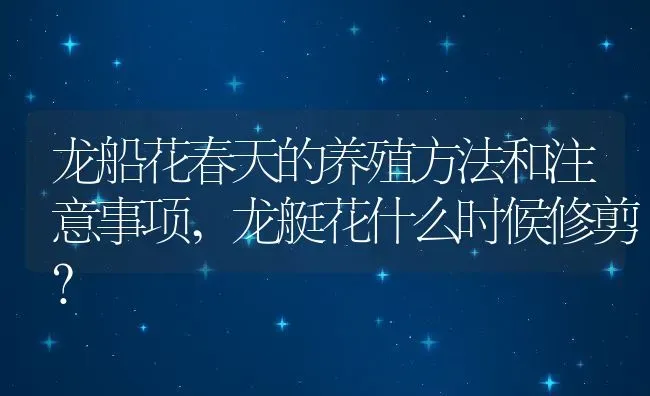 龙船花春天的养殖方法和注意事项,龙艇花什么时候修剪？ | 养殖常见问题