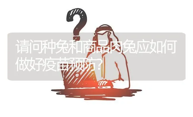 请问种兔和商品肉兔应如何做好疫苗预防? | 养殖问题解答