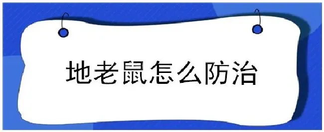 地老鼠怎么防治 | 农业常识