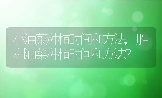 小油菜种植时间和方法,胜利油菜种植时间和方法？ | 养殖常见问题