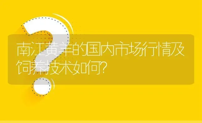 南江黄羊的国内市场行情及饲养技术如何? | 养殖问题解答