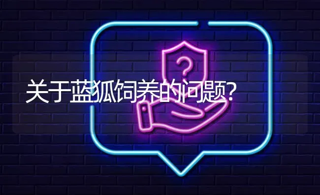 关于蓝狐饲养的问题? | 养殖问题解答