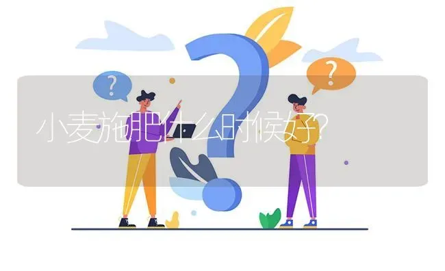 小麦施肥什么时候好? | 养殖问题解答