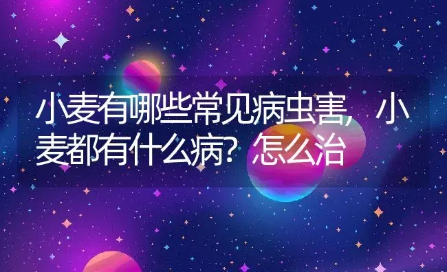 小麦有哪些常见病虫害,小麦都有什么病？怎么治 | 养殖常见问题