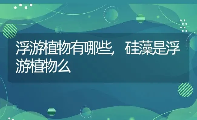 浮游植物有哪些,硅藻是浮游植物么 | 养殖常见问题