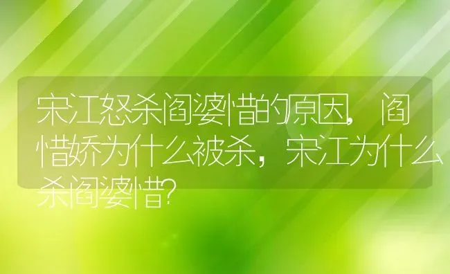 宋江怒杀阎婆惜的原因,阎惜娇为什么被杀，宋江为什么杀阎婆惜？ | 养殖常见问题