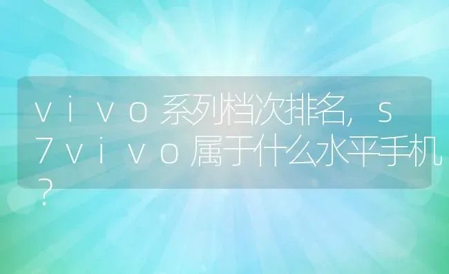 vivo系列档次排名,s7vivo属于什么水平手机？ | 养殖常见问题