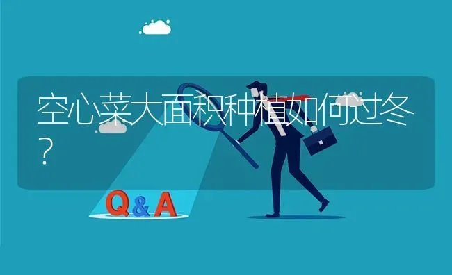 空心菜大面积种植如何过冬? | 养殖问题解答