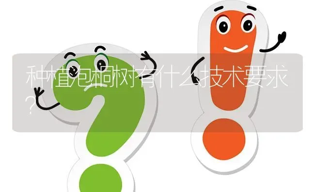 种植泡桐树有什么技术要求? | 养殖问题解答