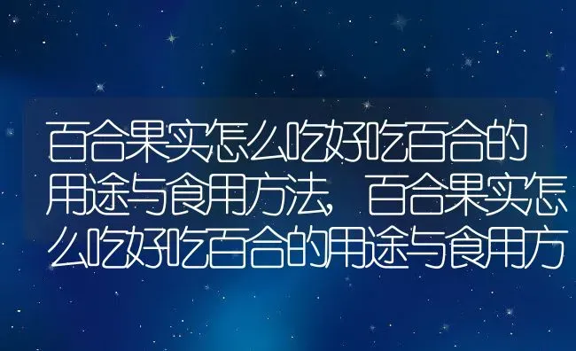 百合果实怎么吃好吃百合的用途与食用方法,百合果实怎么吃好吃百合的用途与食用方法 | 养殖常见问题