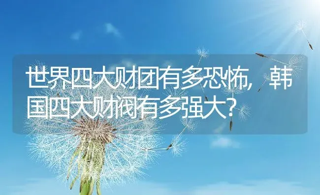 世界四大财团有多恐怖,韩国四大财阀有多强大？ | 养殖常见问题