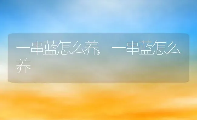 一串蓝怎么养,一串蓝怎么养 | 养殖常见问题