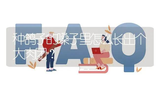 种鸽子的嗓子里怎么长出个大肉团? | 养殖问题解答