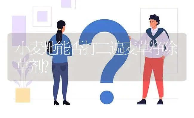小麦地能否打二遍麦草净除草剂? | 养殖问题解答
