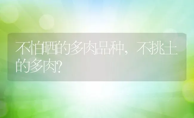 不怕晒的多肉品种,不挑土的多肉？ | 养殖常见问题