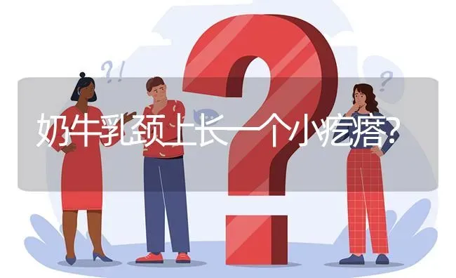 奶牛乳颈上长一个小疙瘩? | 养殖问题解答