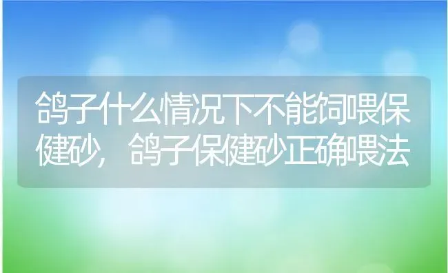 鸽子什么情况下不能饲喂保健砂,鸽子保健砂正确喂法 | 养殖常见问题