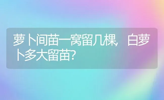 萝卜间苗一窝留几棵,白萝卜多大留苗？ | 养殖常见问题
