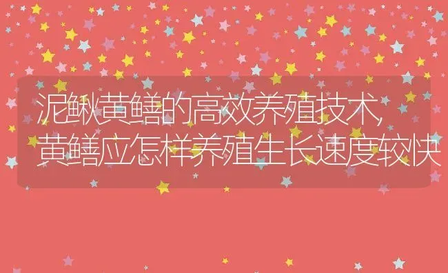 泥鳅黄鳝的高效养殖技术,黄鳝应怎样养殖生长速度较快 | 养殖常见问题