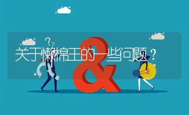 关于懒棉王的一些问题? | 养殖问题解答