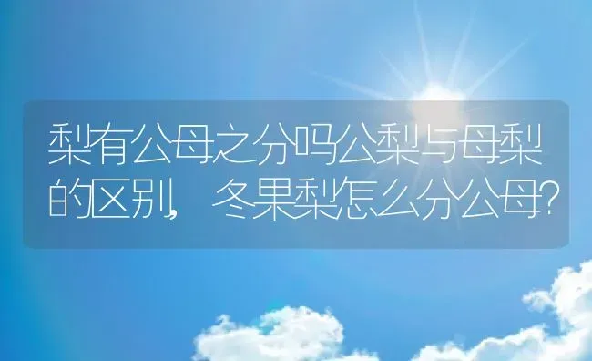 梨有公母之分吗公梨与母梨的区别,冬果梨怎么分公母？ | 养殖常见问题