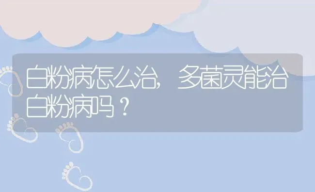 白粉病怎么治,多菌灵能治白粉病吗？ | 养殖常见问题