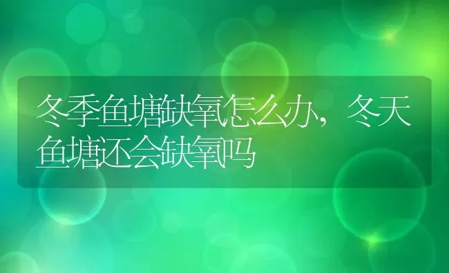 冬季鱼塘缺氧怎么办,冬天鱼塘还会缺氧吗 | 养殖常见问题