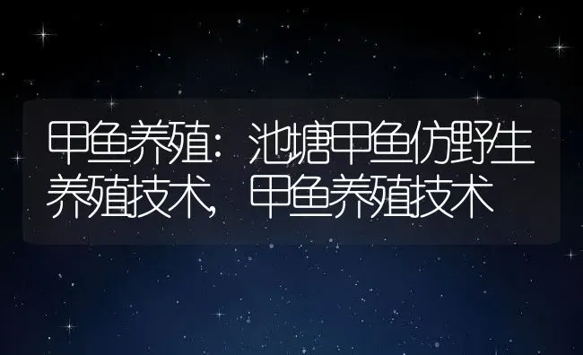 甲鱼养殖:池塘甲鱼仿野生养殖技术,甲鱼养殖技术 | 养殖常见问题