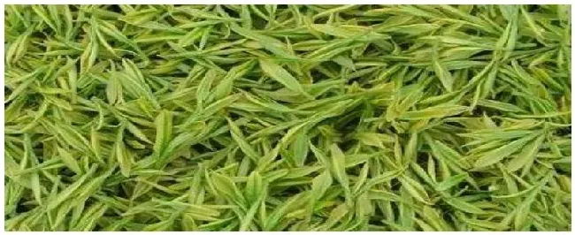 老白茶是什么茶叶制成 | 生活常识