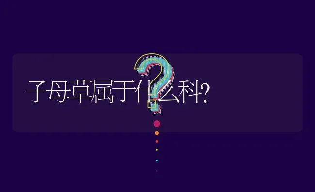 子母草属于什么科? | 养殖问题解答