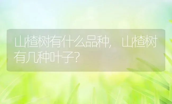 山楂树有什么品种,山楂树有几种叶子？ | 养殖常见问题