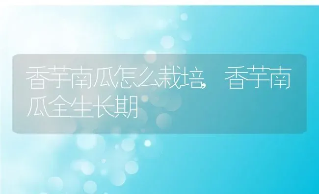 香芋南瓜怎么栽培,香芋南瓜全生长期 | 养殖常见问题