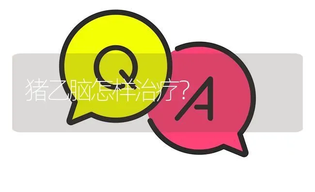猪乙脑怎样治疗? | 养殖问题解答