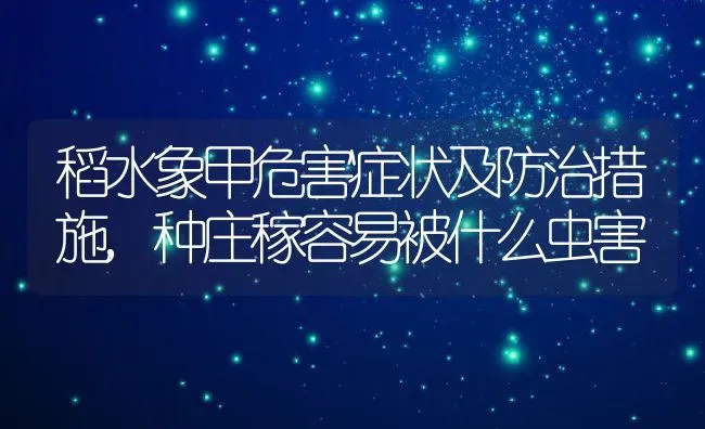 稻水象甲危害症状及防治措施,种庄稼容易被什么虫害 | 养殖常见问题