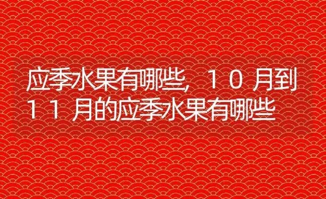 长寿花夏天怎么浇水方法,伏天长寿花如何浇水？ | 养殖常见问题