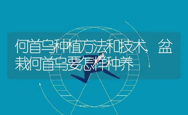 何首乌种植方法和技术,盆栽何首乌要怎样种养 | 养殖常见问题