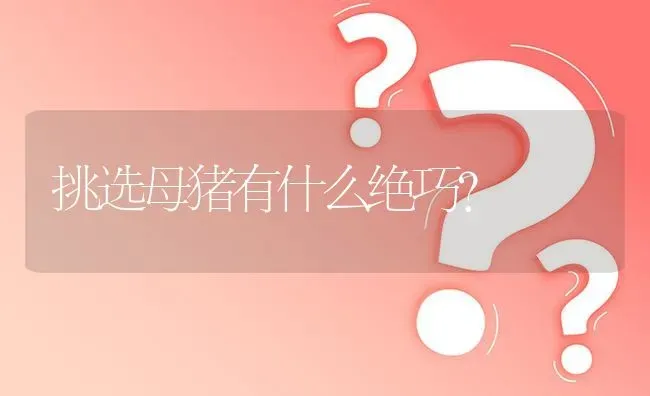 挑选母猪有什么绝巧? | 养殖问题解答