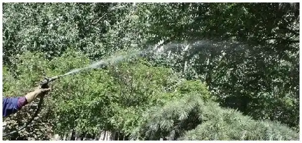 有机磷中毒阿托品用法 | 科普知识